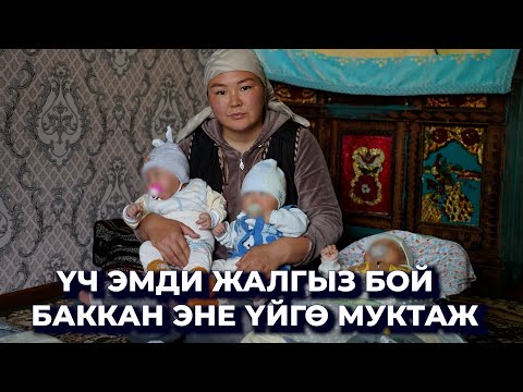 Кош бойлуу кезимде ажырашканбыз, азыр атасы каралашпайт/ Үч эмдин энесин түйшөлткөн тагдыр