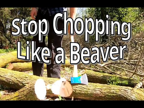 Why Most Bushcraft Axe Chopping Tutorials Kinda Suck!
