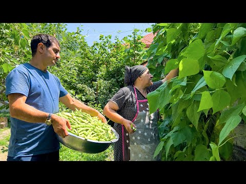 DELICIOUS BEAN PILAF, TURKISH BÖREK, BBQ EGGPLANT & IRRESISTIBLE SWEET TREATS! 😋