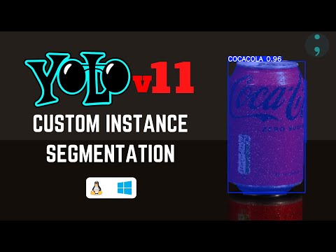 YOLOv11 Instance Segmentation on Custom Dataset | Step-by-Step Guide