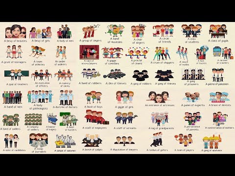 50+ Important Words for Groups of People in English | Collective Nouns for People