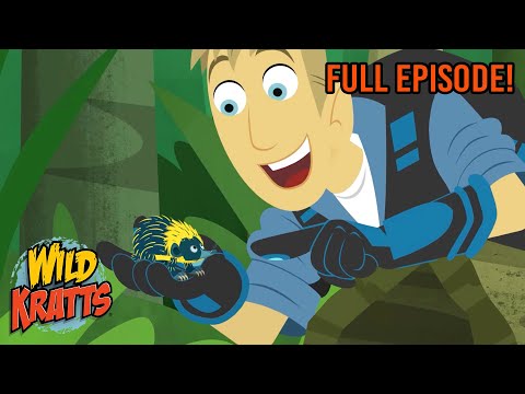 Tenrec Treasure Hunt | Season 3 | Full Episode | Animals for Kids | Wild Kratts