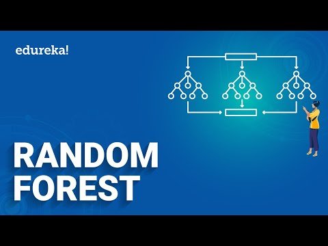 Random Forest Algorithm | Random Forest Complete Explanation | Data Science Training | Edureka