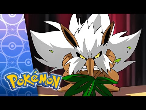 Jump for Joy! | POKÉMON FULL EPISODE 37 | Season 6