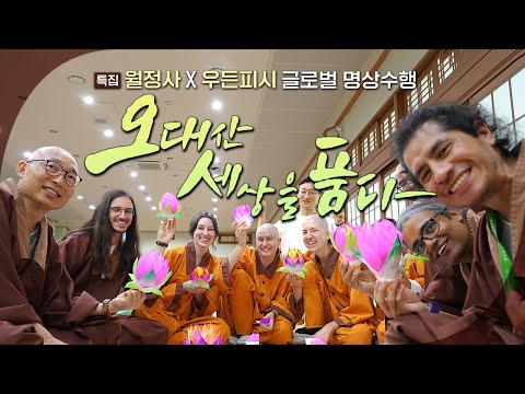 세계 대학생들이 월정사에 와서 출가한 이유? 나를 찾기 위한 여행! 오대산 세상을 품다 | 월정사 X 우든피시 글로벌 명상수행