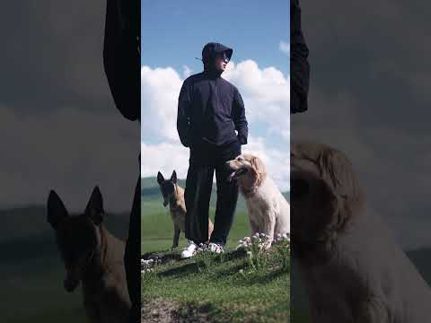 我很老吗????【小白的奇幻旅行】