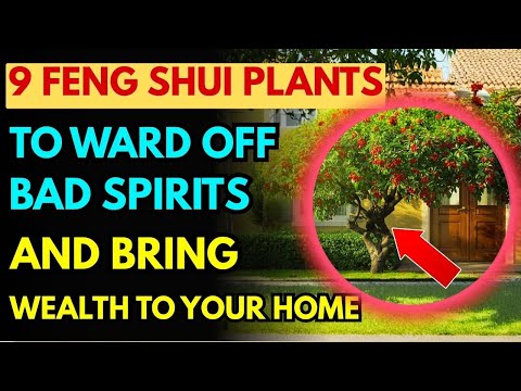 9 Plants to Repel Evil Spirits and Attract Good Fortune and Wealth to Your Home