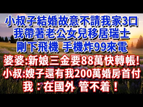 小叔子結婚故意不請我家3口,我帶著老公女兒移居瑞士,剛下飛機手機炸出99來電,婆婆:新娘三金要88萬,你當大嫂的快轉帳!小叔:嫂子還有我200萬婚房首付!我:在國外,管不着!#小魚故事會#為人處世