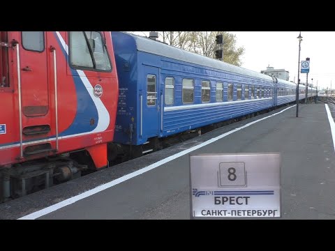 Поезд Брест – Санкт-Петербург. 18 вагонов еле поместились. Витебский вокзал СПБ