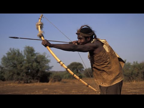 How Hadzabe Tribe of Tanzania Make Bows