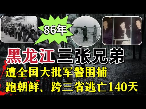 他们是和“二王”齐名的黑龙江“三张兄弟”严打期间，遭数万军警全力围捕，他们是谁，又犯了何罪？#案件調查 #大案紀實