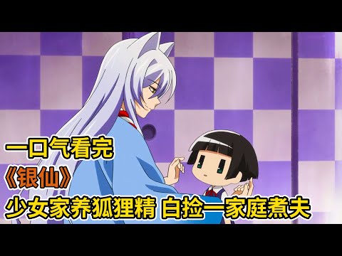 泡麵少女家養狐狸精，人夫屬性全能神，一口氣看完溫馨治愈老番《銀仙》