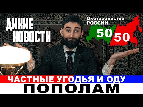 ЦЕНЫ на патроны упадут Штраф за лося 560 тр  Почему мы проиграли суд по тепловизорам