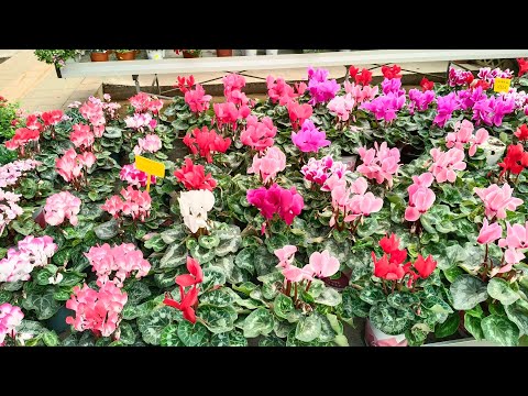 Granny's Favourite Nook!