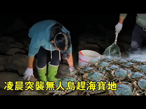 小漁凌晨突襲無人島趕海寶地！滿桶海鮮到手，這一夜沒白熬【漁小仙】