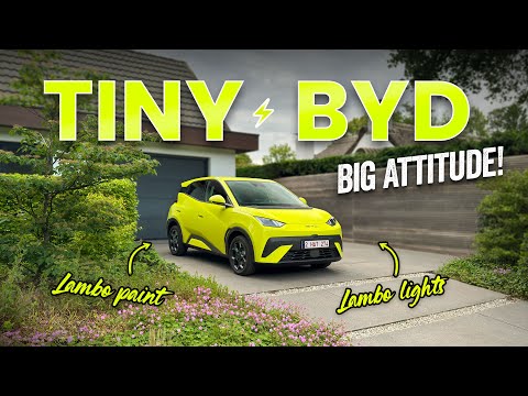 BYD Dolphin Surf - Can This Replace Your Daily Driver?