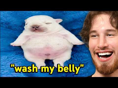 The MOST UNHINGED Instagram Reels of 2025