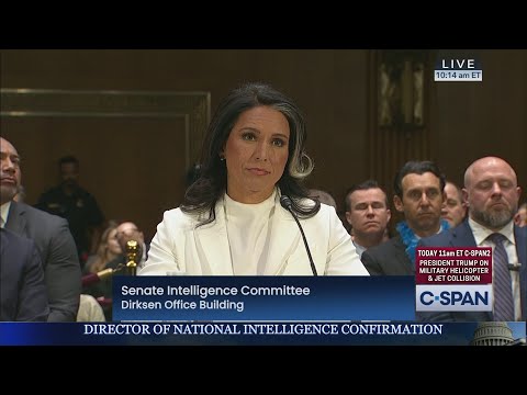 Tulsi Gabbard Senate Confirmation Hearing to be Director of National Intelligence