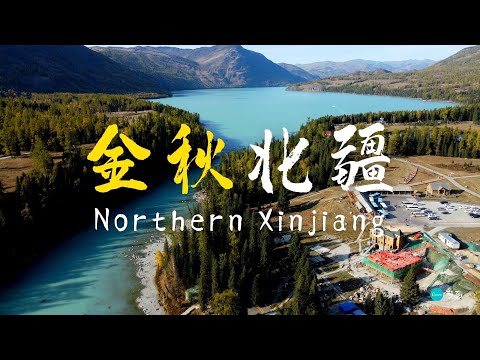 畅游北疆，去看中国最美的秋天｜Northern Xinjiang Travel Guide: The Best Place in China to See Fall Foliage