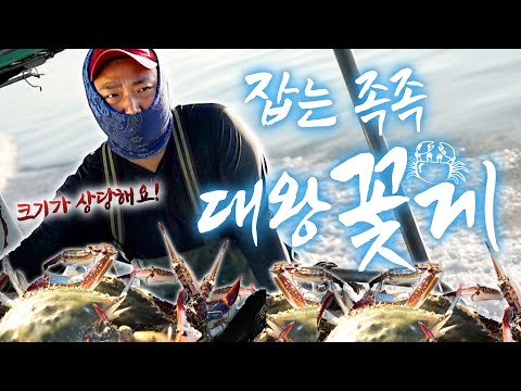 “이상하게 제가 잡은 꽃게는 꼭 다 크더라고요ㅎㅎ 겨울엔 낙지, 봄엔 갑오징어.. 그리고 오늘은 꽃게 풍년입니다!