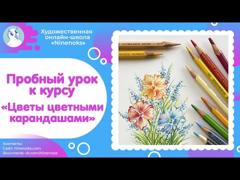 Пробный урок к карандашному "Цветочному курсу". Рисуем цветы цветными карандашами.