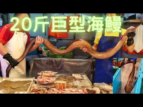 20斤巨鰻😱長尾彎牙海鱔,四圍走好生猛,7斤東澳火山龍,30cm巨鬼蝦,全部海鮮好巨型😂~fishcutting香港海鮮~社長遊街市Seafood