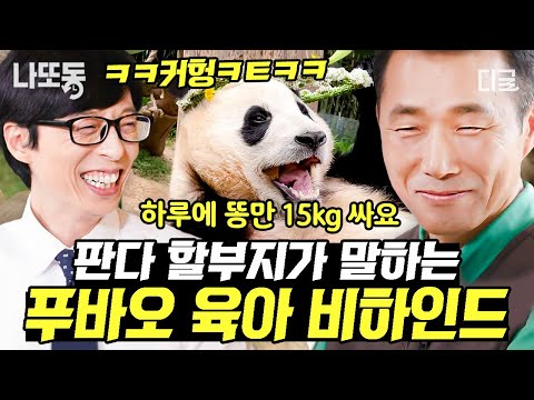 [#유퀴즈온더블럭] (50분) 용인 푸씨 푸바오 육아 스토리🐼 판다 할부지의 찐 사랑이 느껴지는 비하인드💗 당신을 만난 게 정말 행운이었어🍀