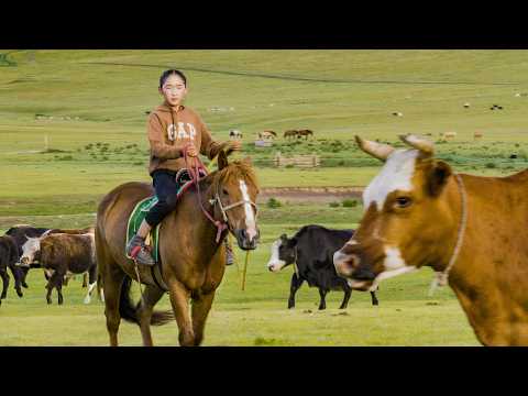 3 Mongolian Nomad Sisters: Horse Riding, Playing with Cats, and Cooking Family Meals #documentary