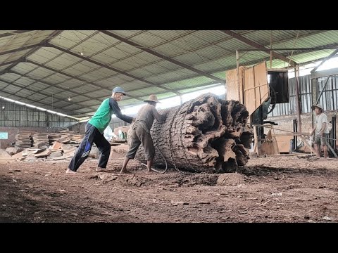 Breaking the hundreds of dollars mark!! Strange wood saw at a large sawmill