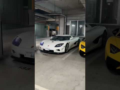 Which was your favourite? 🤔#CarSpotting #SavetheLeap #Tokyo #SupercarsofTokyo