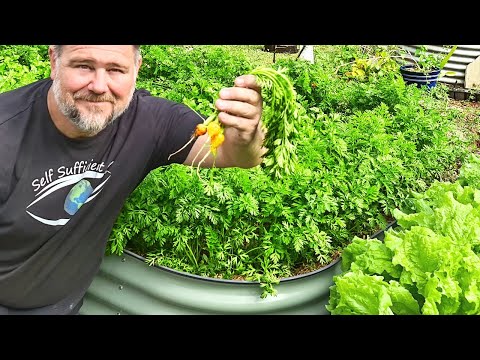 5 Tips How to THIN Out a TON of SEEDLINGS