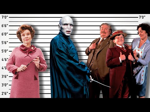 If Harry Potter Villains Were Charged For Their Crimes