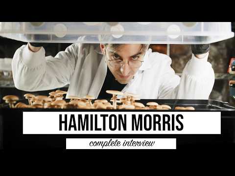 Psychedelics, Drugs, Vice News, and Journalistic Integrity | COMPLETE Interview with Hamilton Morris