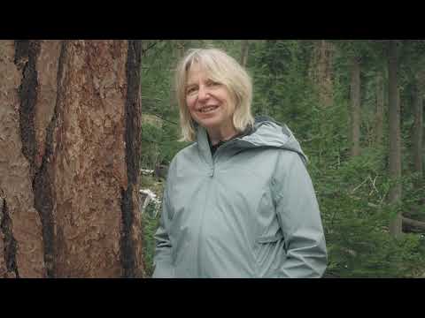 Finding the Mother Tree | Suzanne Simard