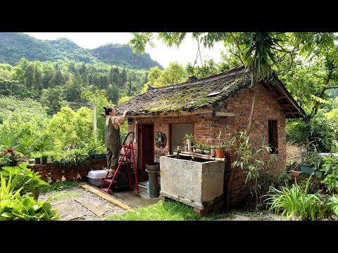 Leaving the city~ A single woman renovates a dilapidated wooden house in the forest