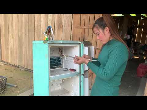 The girl came to the place to fix the broken refrigerator and the broken gasoline engine.