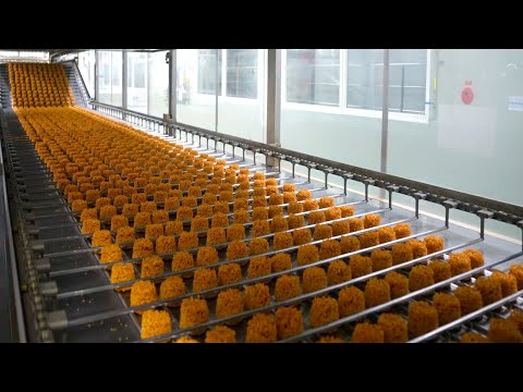 Mass Production of Instant Noodles in Vietnam. Process of making instant cup noodles.