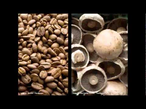 Michael Pawlyn: Using nature's genius in architecture