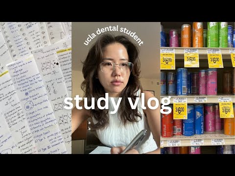 dental student study vlog