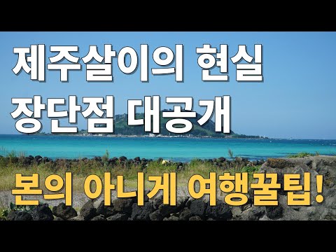 The reality of living in Jeju, the pros and cons revealed / Travel tips included unintentionally ...