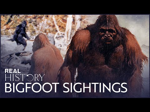 Bigfoot: How Willow Creek Became Tormented By Bigfoot Sightings | Boogeymen | Real History