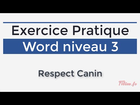 Word - 3 Avancé - Exercice Respect Canin