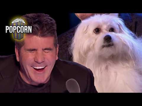 HILARIOUS Singing Dog Audition! Marc Métral and Wendy SHOCK the BGT Judges!