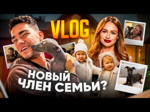 VLOG | НОВЫЙ ЧЛЕН СЕМЬИ?