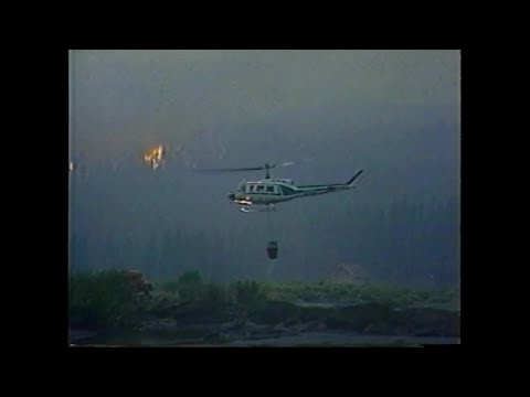 Q2 Rewind: The Yellowstone Fires of 1988