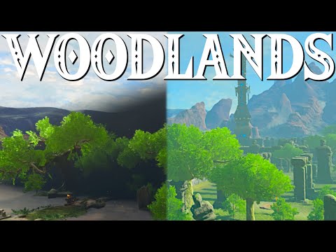 The Woodlands BotW vs TotK | HYRULE COMPARISONS