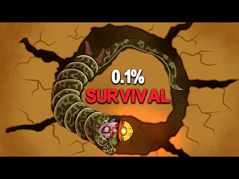 The WORST Animal Attack Cave Deaths Ever