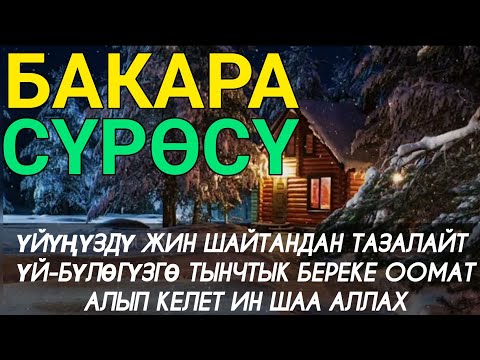БАКАРА СҮРӨСҮ! ҮЙҮҢҮЗДҮ ЖИН ШАЙТАНДАН ТАЗАЛАЙТ. ҮЙ БҮЛӨГҮЗГӨ ТЫНЧТЫК, БЕРЕКЕ, ЫРЫСКЫ, АЛЫП КЕЛЕТ.
