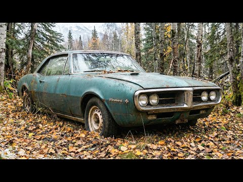 Fixing up an old Firebird