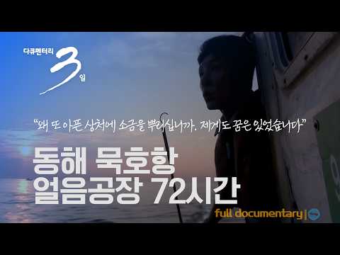 [다큐3일📸] 낭만어부 "한 잔은 떠나간 너를 위하여, 한 잔은 너와 나의 영원했던 사랑을 위하여" 동해 묵호항 얼음공장 72시간 | KBS 2015.08.23 방송